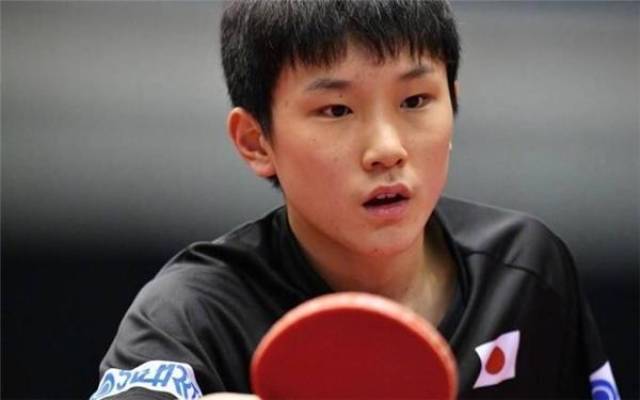 因为他们在 因为他们在