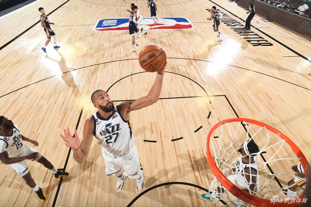 维斯塔潘习 维斯塔潘习