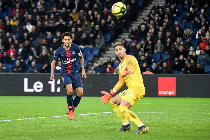 鸡的制胜思 鸡的制胜思