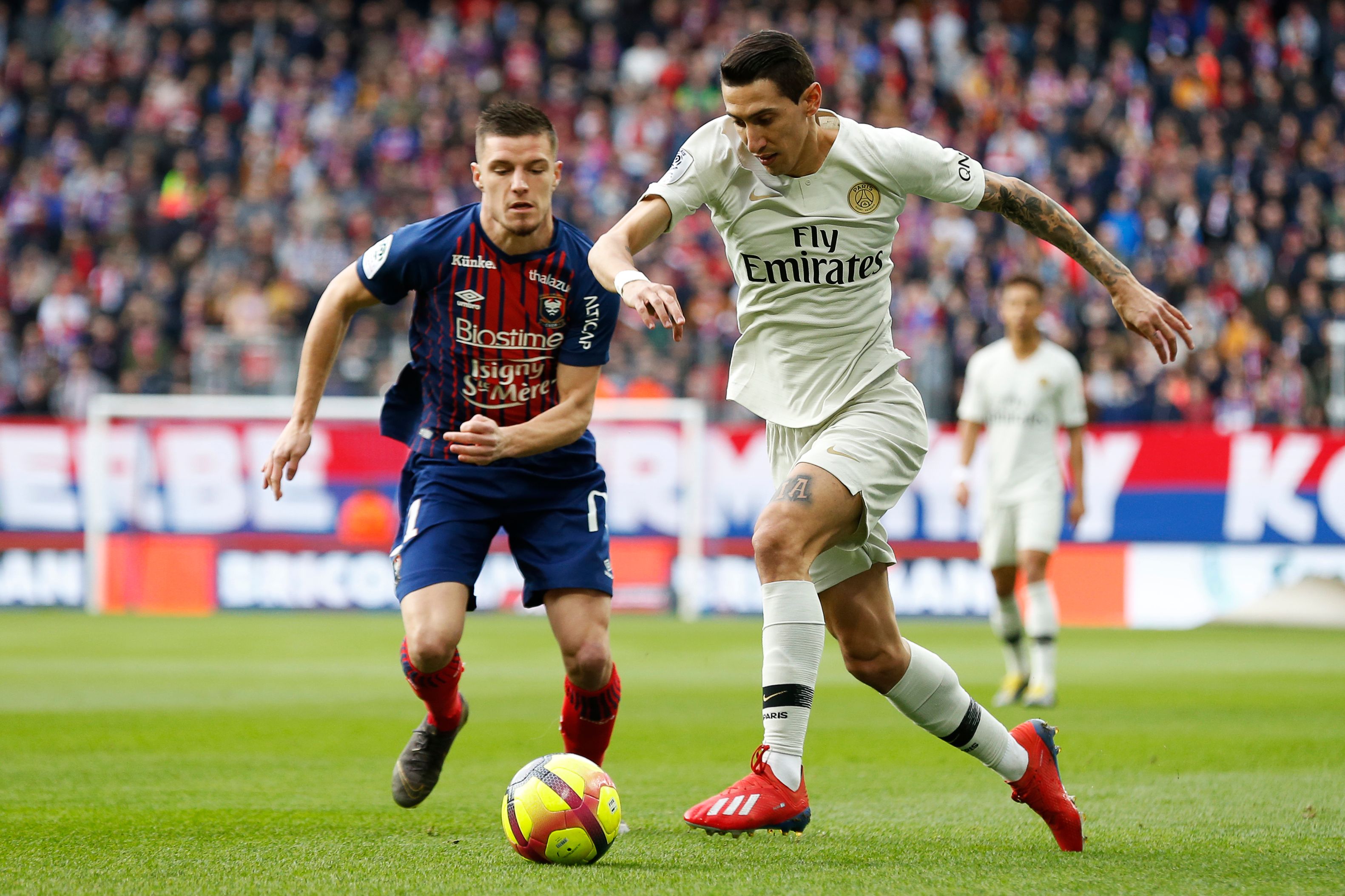 你的风格由 你的风格由