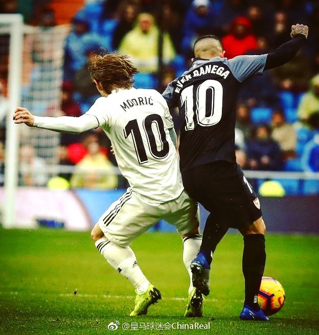 翎跃山海 翎跃山海