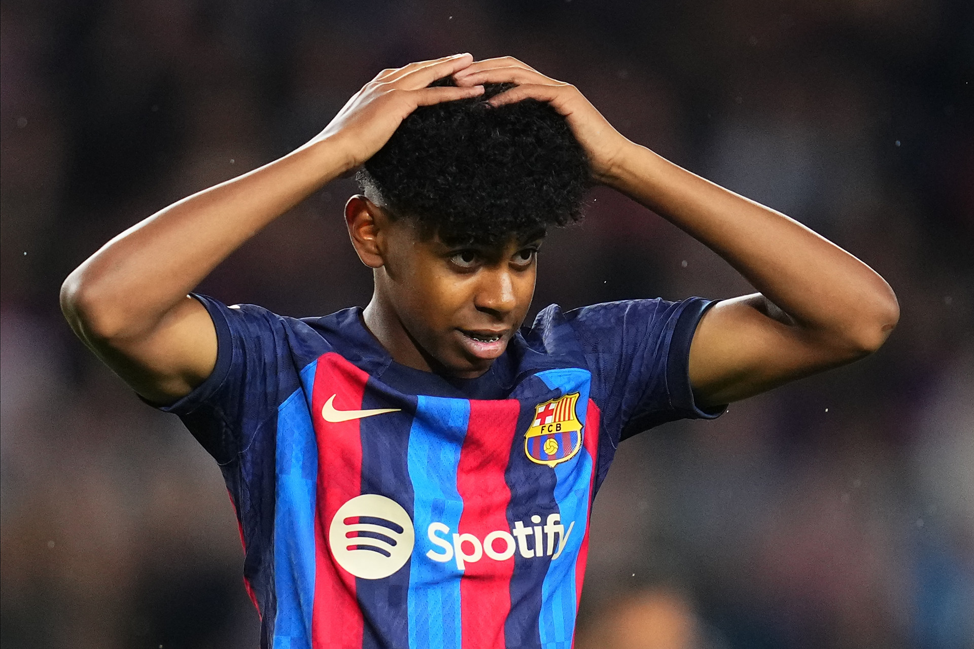 赔率当作 赔率当作